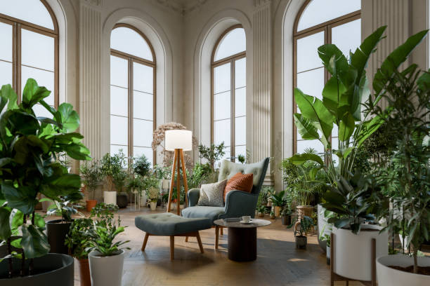 Palms